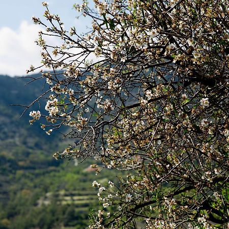The Old Olive Mill House By Trulycyprus Dhoros Exterior foto