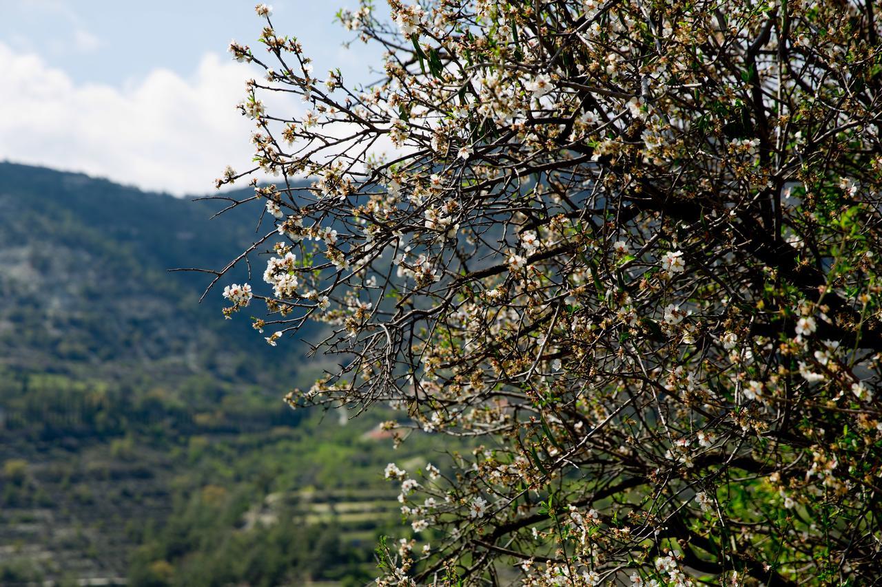 The Old Olive Mill House By Trulycyprus Dhoros Exterior foto