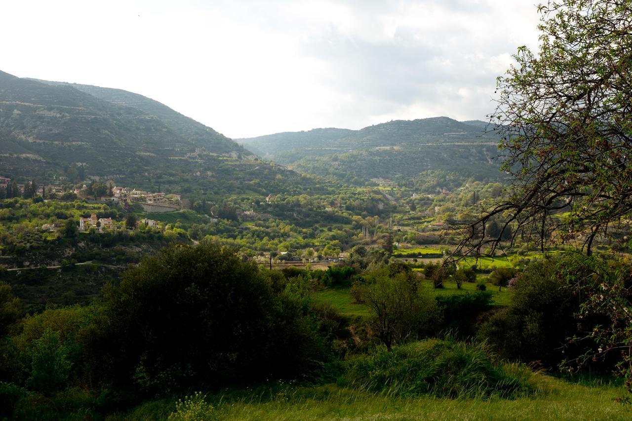The Old Olive Mill House By Trulycyprus Dhoros Exterior foto